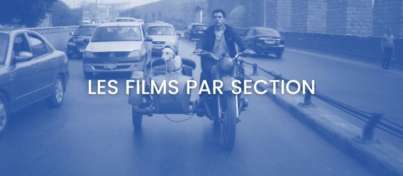 Bouton films par section Cienmamed 2024